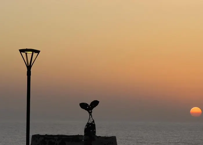 El Nido Del Sol لا أوليفا