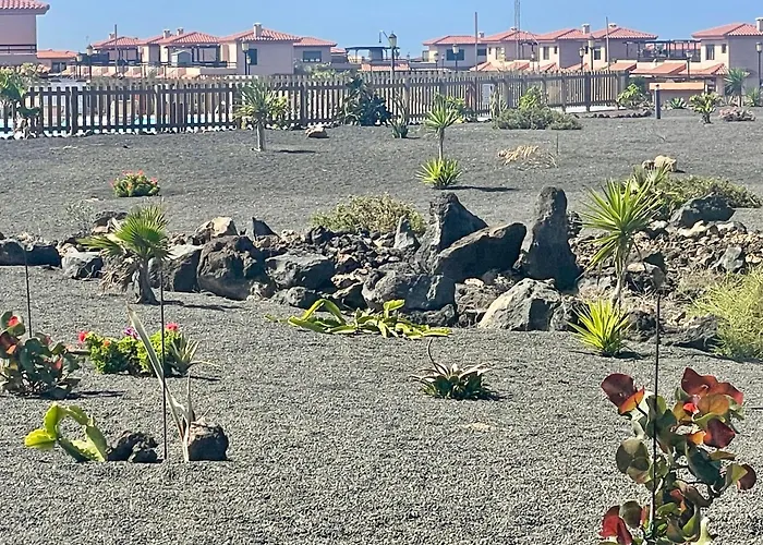 El Nido Del Sol لا أوليفا