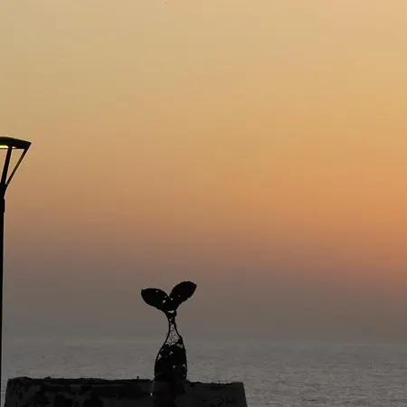 El Nido Del Sol La Oliva