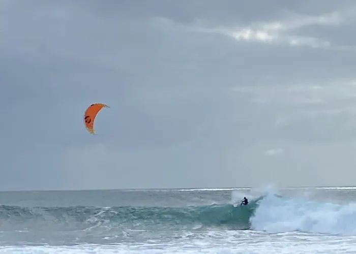 El Nido Del Sol La Oliva